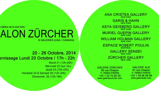 Salon Zurcher- Fiac Paris, France