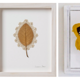 In the Garden - Part II