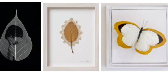 In the Garden - Part II